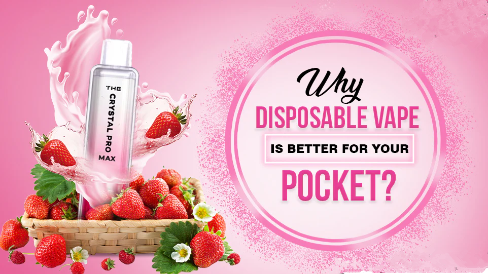 Why Disposable Vape Is Better For Your Pocket?