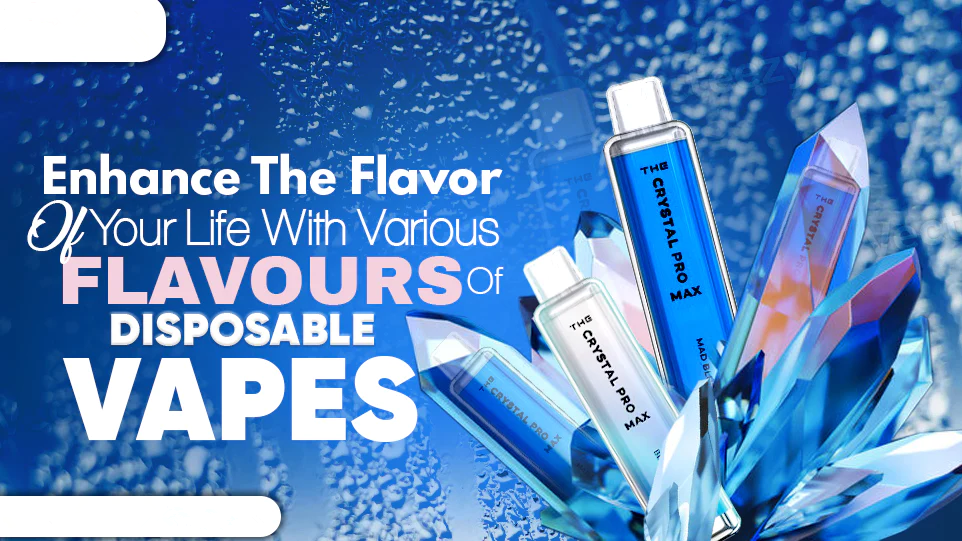 Enhance the Flavor of Your Life with Various Flavours of Disposable Vapes
