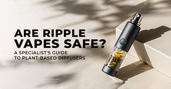 Are Ripple Vapes Safe? A Specialist's Guide to Plant-Based Diffusers –  cometovape