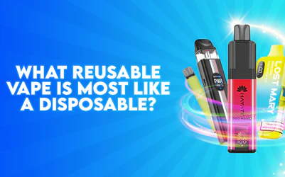 What reusable vape is most like a disposable?