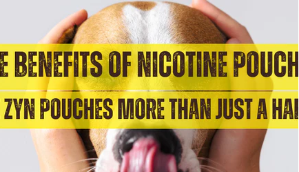The Benefits of Nicotine Pouches: Are ZYN Pouches More Than Just a Habit?