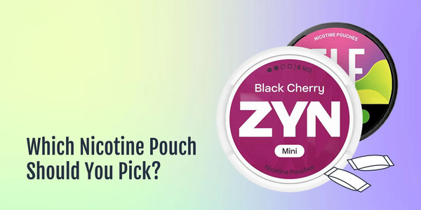 Which Nicotine Pouch Should You Pick?