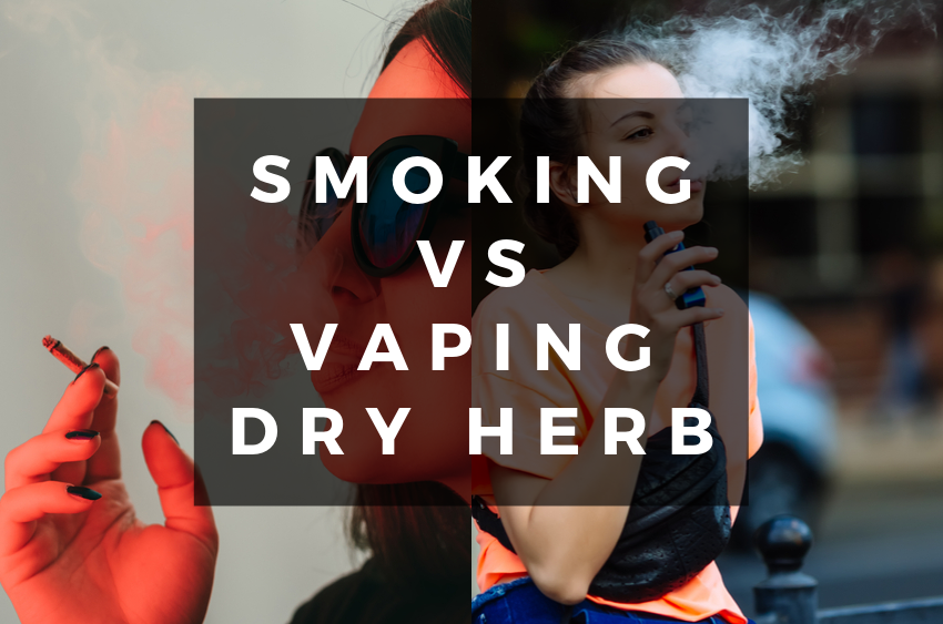 VAPING DRY HERB VS SMOKING DRY HERB