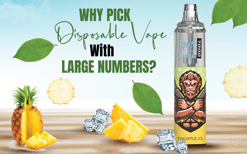 Why Pick Disposable Vape With Large Numbers?