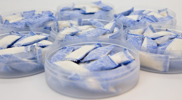 From Canada to Europe: The Latest Nicotine Pouch Developments Affecting Harm Reduction