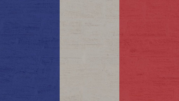 Misinformation, High Smoking Rates and Illicit Sales: The Consequences of France’s Nicotine Policies