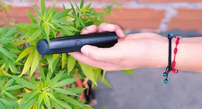 Vaping vs Smoking Cannabis Flower – Which is Stronger?